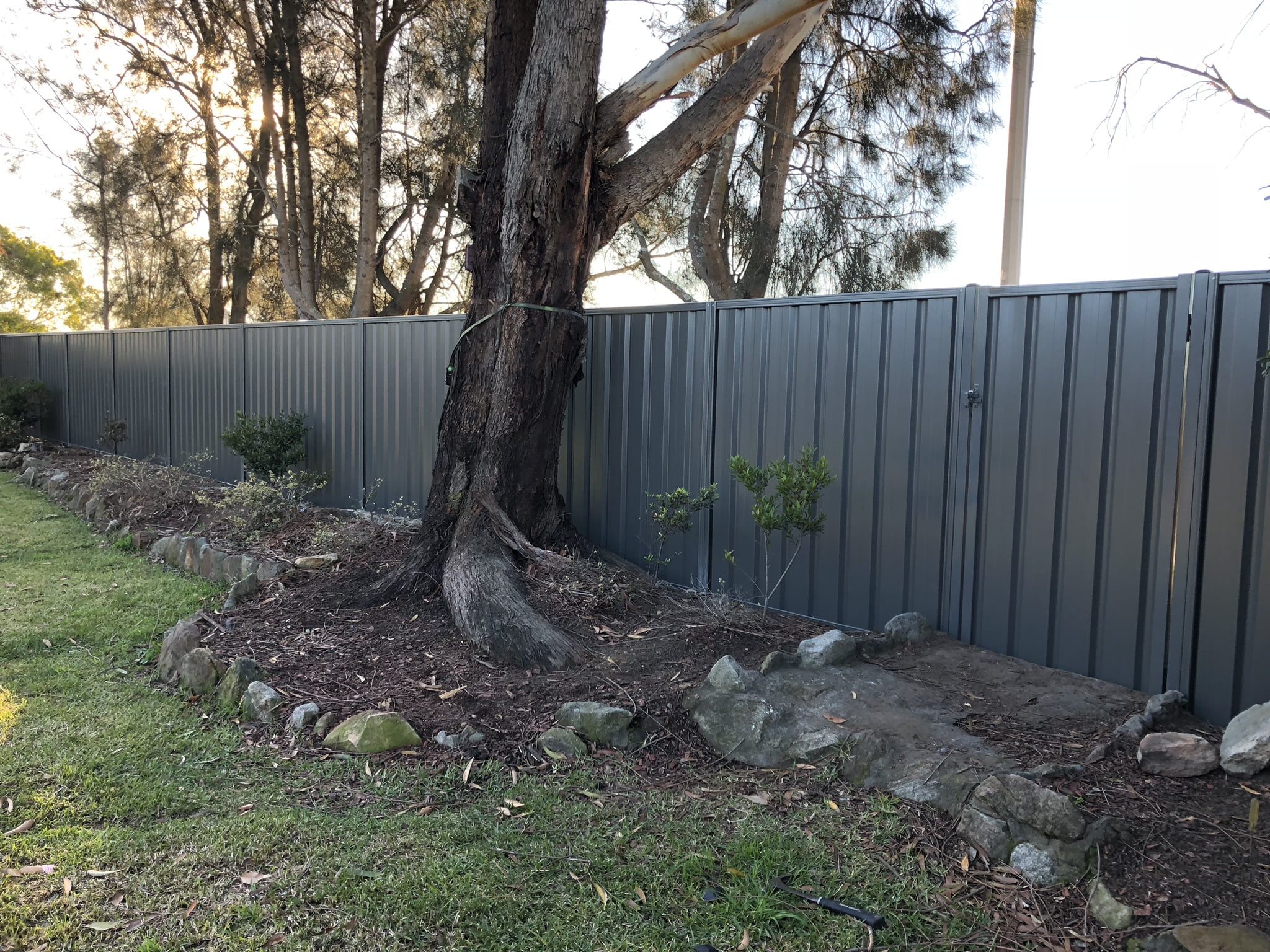 Colourbond Steel Fencing Knockout Fencing